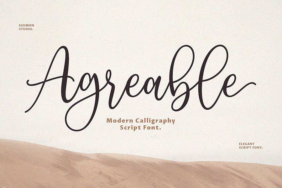 Agreable Modern Script Font